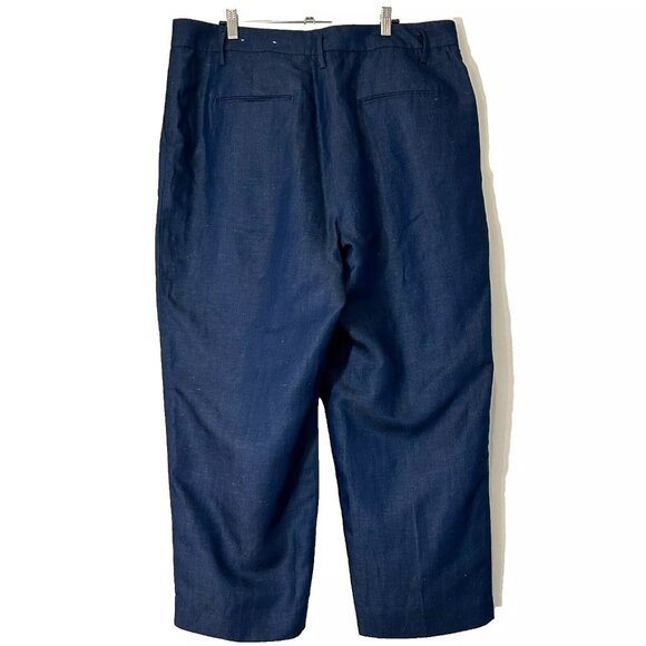 Ann Taylor Baggy Linen Blend Cropped Pant Plus Size 16 Petite NEW - Picture 2 of 8